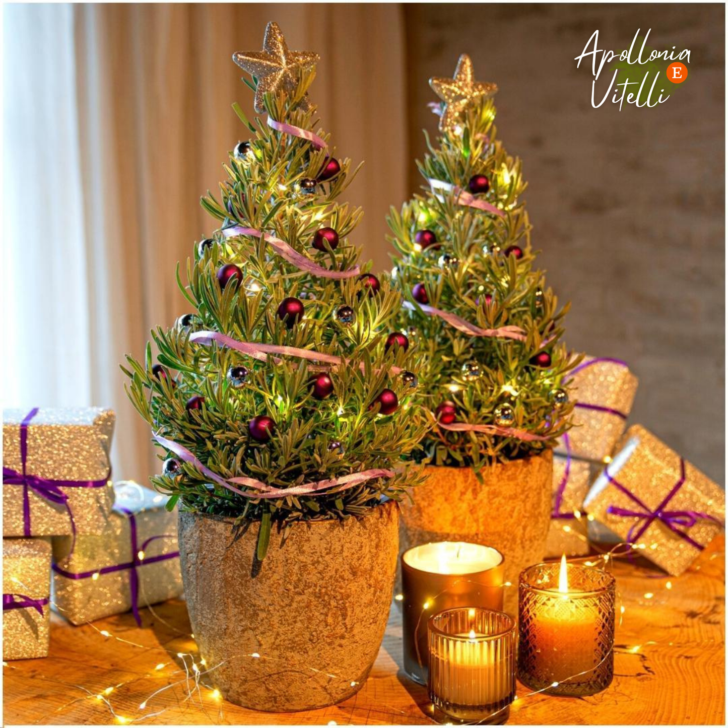 Echte geurende Lavendel Kerstboom - 15 cm Ø - 40-50 cm ↨ - Lavendel