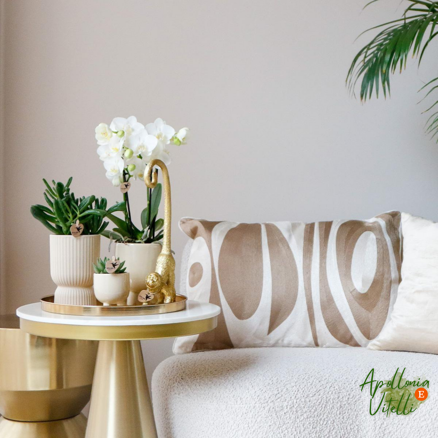Gift set Luxury Living | Plantenset met witte Phalaenopsis Orchidee en Succulenten incl. keramieken sierpotten
