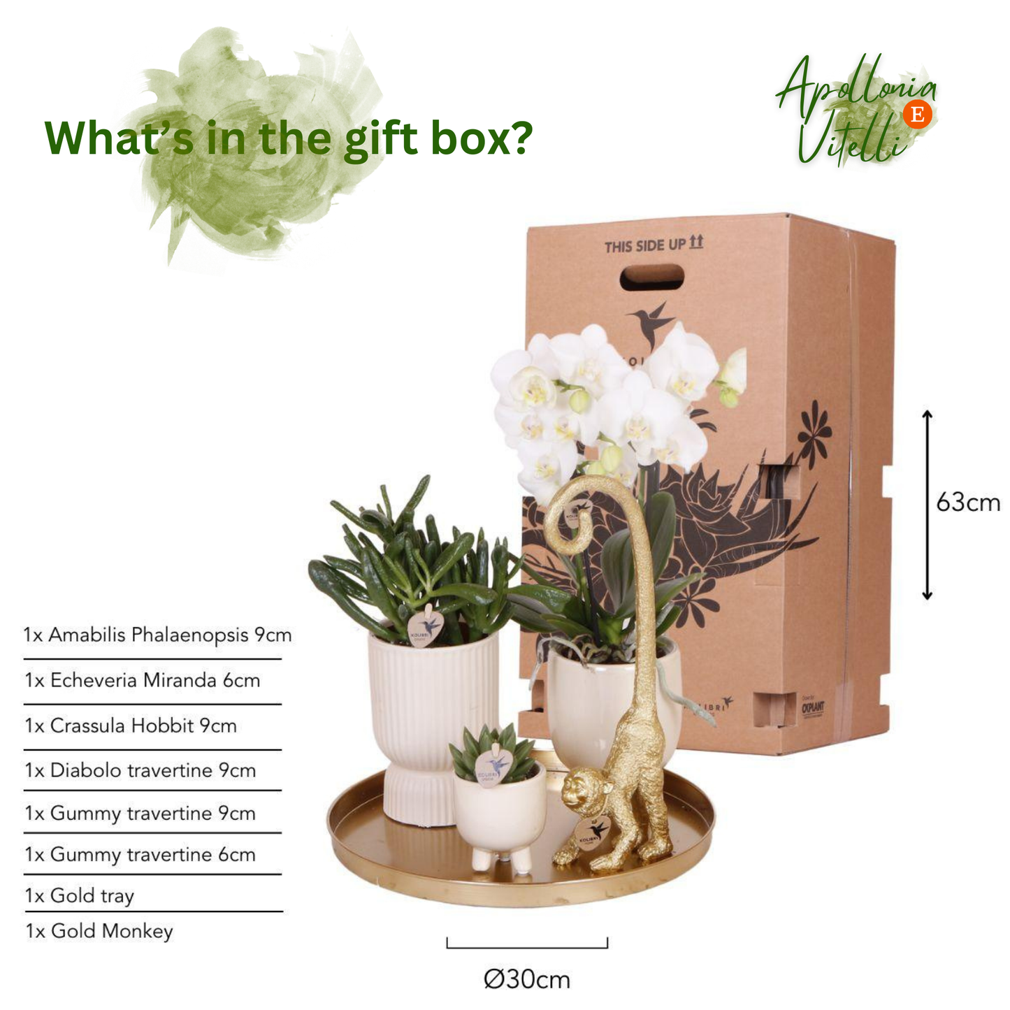Gift set Luxury Living | Plantenset met witte Phalaenopsis Orchidee en Succulenten incl. keramieken sierpotten