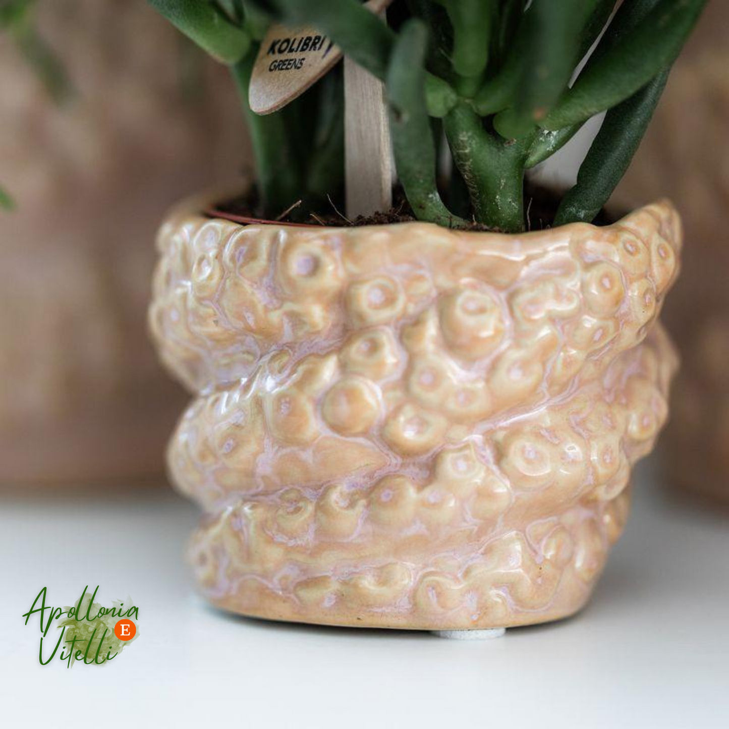 Gift set Octopus Pink small | Groene plant met oudroze Phalaenopsis orchidee in Octopus pink sierpotten op wit organisch dienblad
